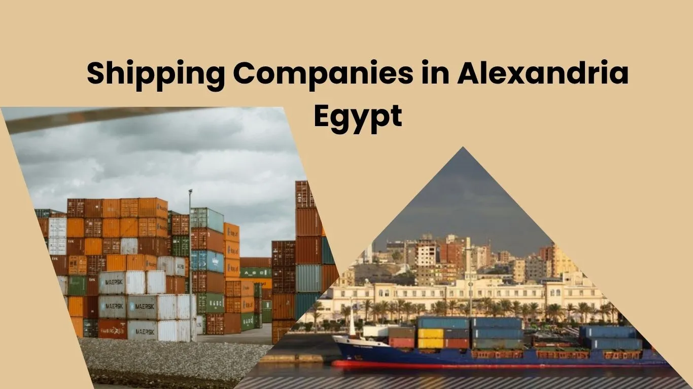 Shipping companies in Alexandria Egypt