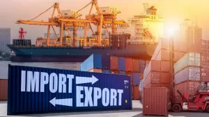 Import and export companies in Egypt