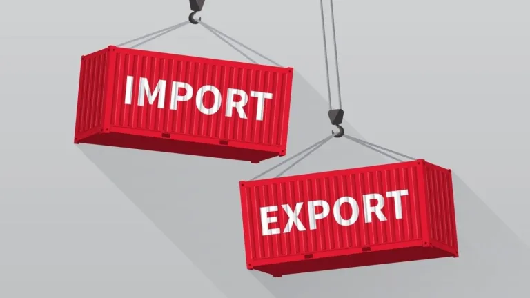 Import and Export Companies in Egypt