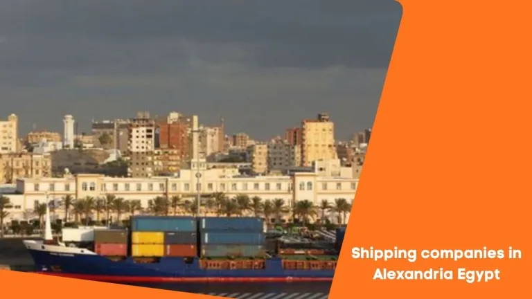 Shipping companies in Alexandria Egypt