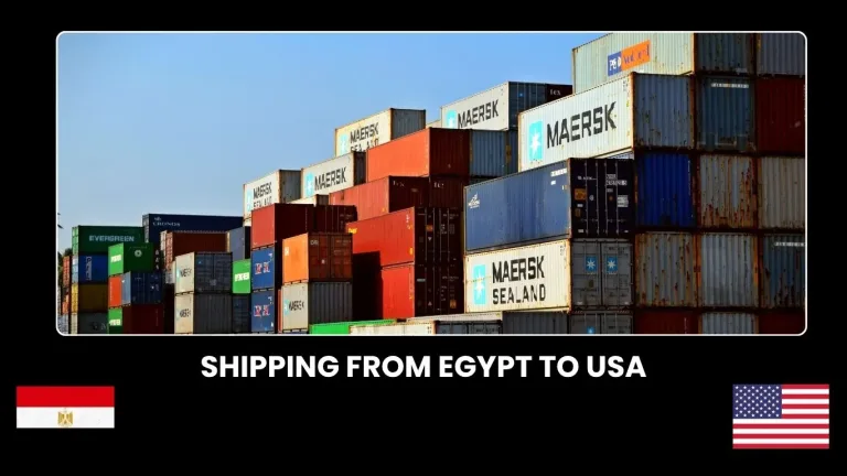 Shipping companies from Egypt to USA