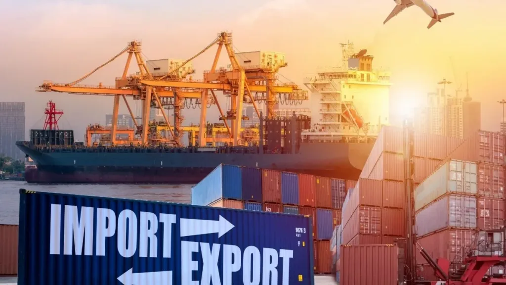 Import and Export Companies in Egypt