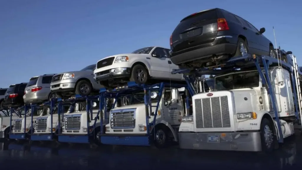 Best Rated Car Transport Companies in Egypt