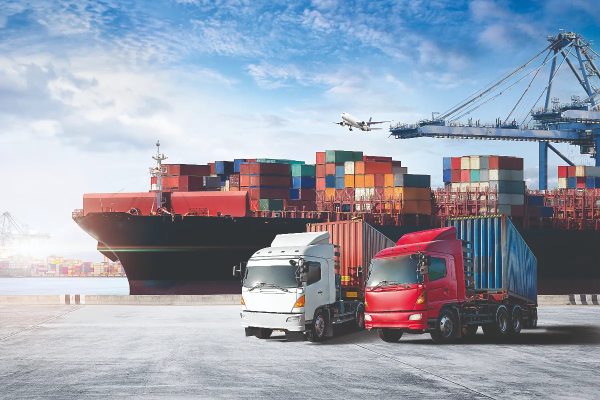 Search Freight Companies