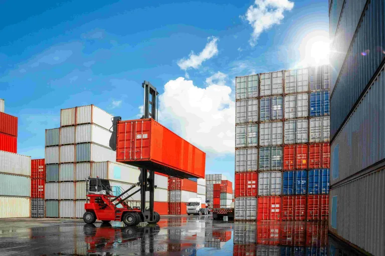 FCL Shipping Egypt for Large