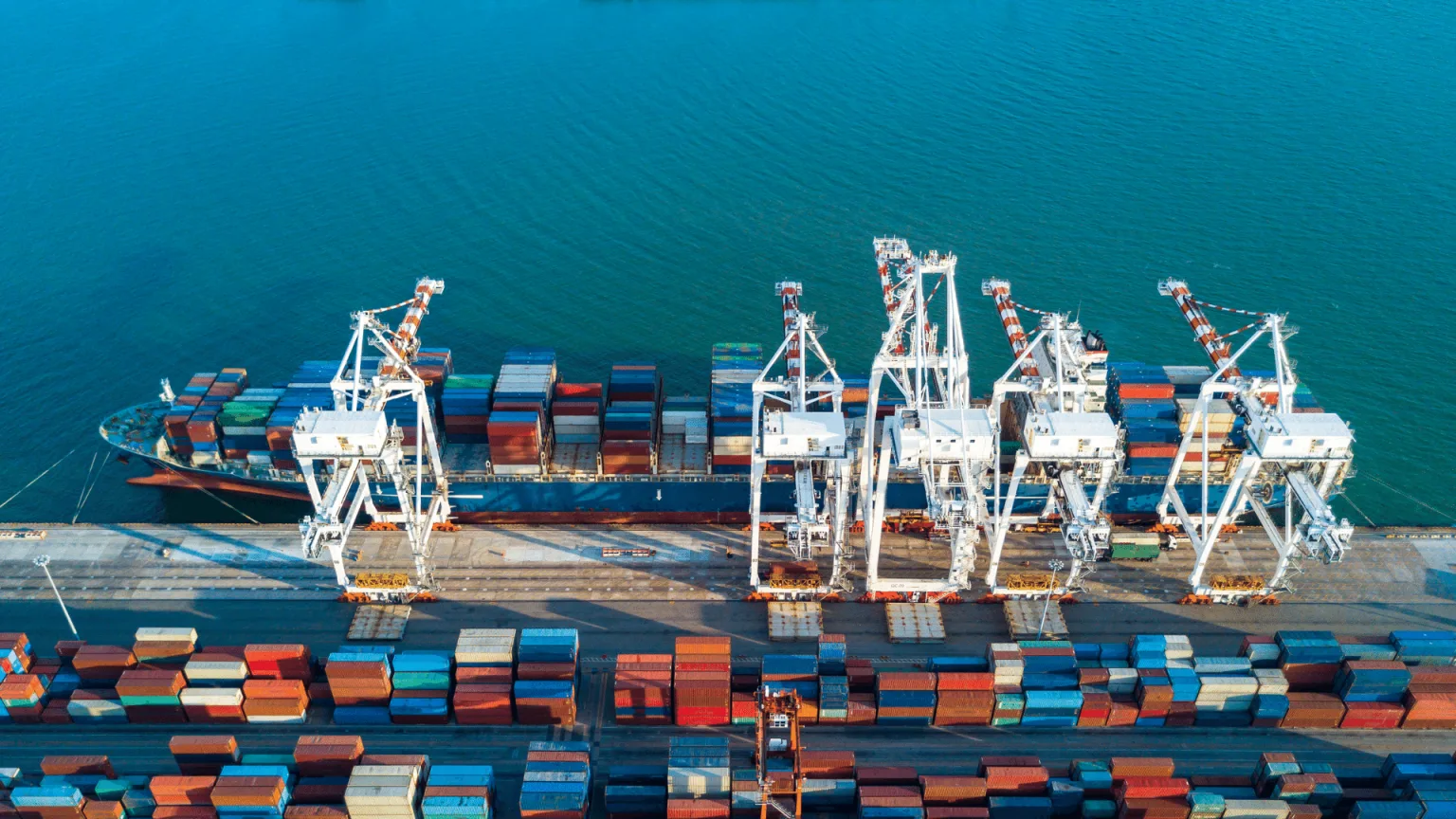 Freight Agent Egypt
